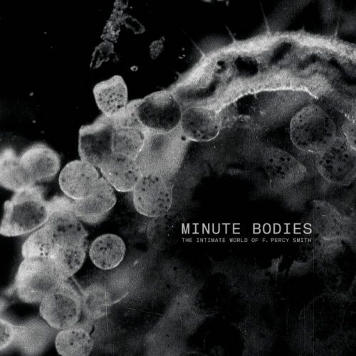 TINDERSTICKS - MINUTE BODIESTINDERSTICKS MINUTE BODIES.jpg